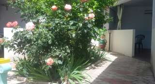 Гостевой дом Inn Almaz Заозёрное-0