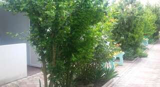 Гостевой дом Inn Almaz Заозёрное-1